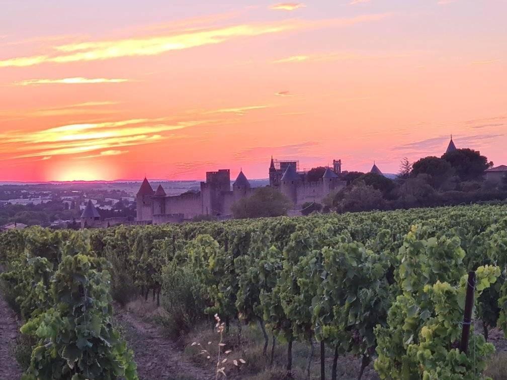 Вілла Meuble De Tourisme 4 Etoiles Logis Riquet Proche De Carcassonne Caux-et-Sauzens Екстер'єр фото